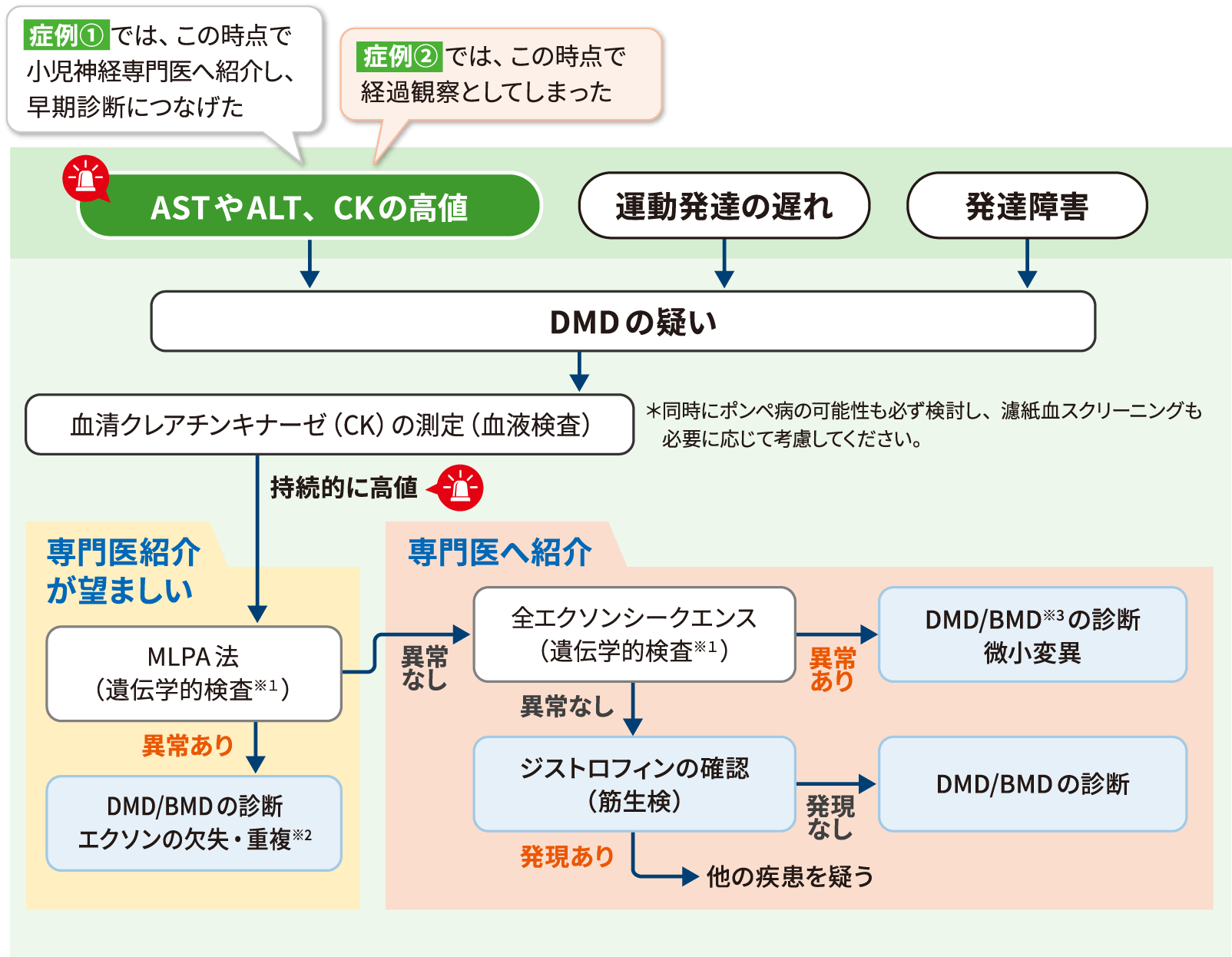 デュシェンヌ型筋ジストロフィーの診断フローの図表