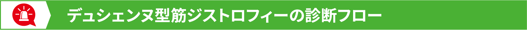 デュシェンヌ型筋ジストロフィーの診断フロー