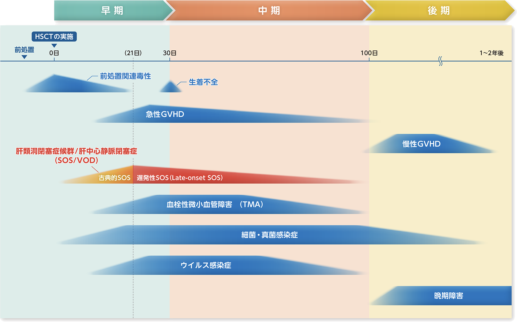 移植関連合併症の全体像