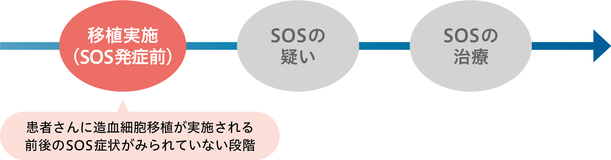 移植実施（SOS発症前）