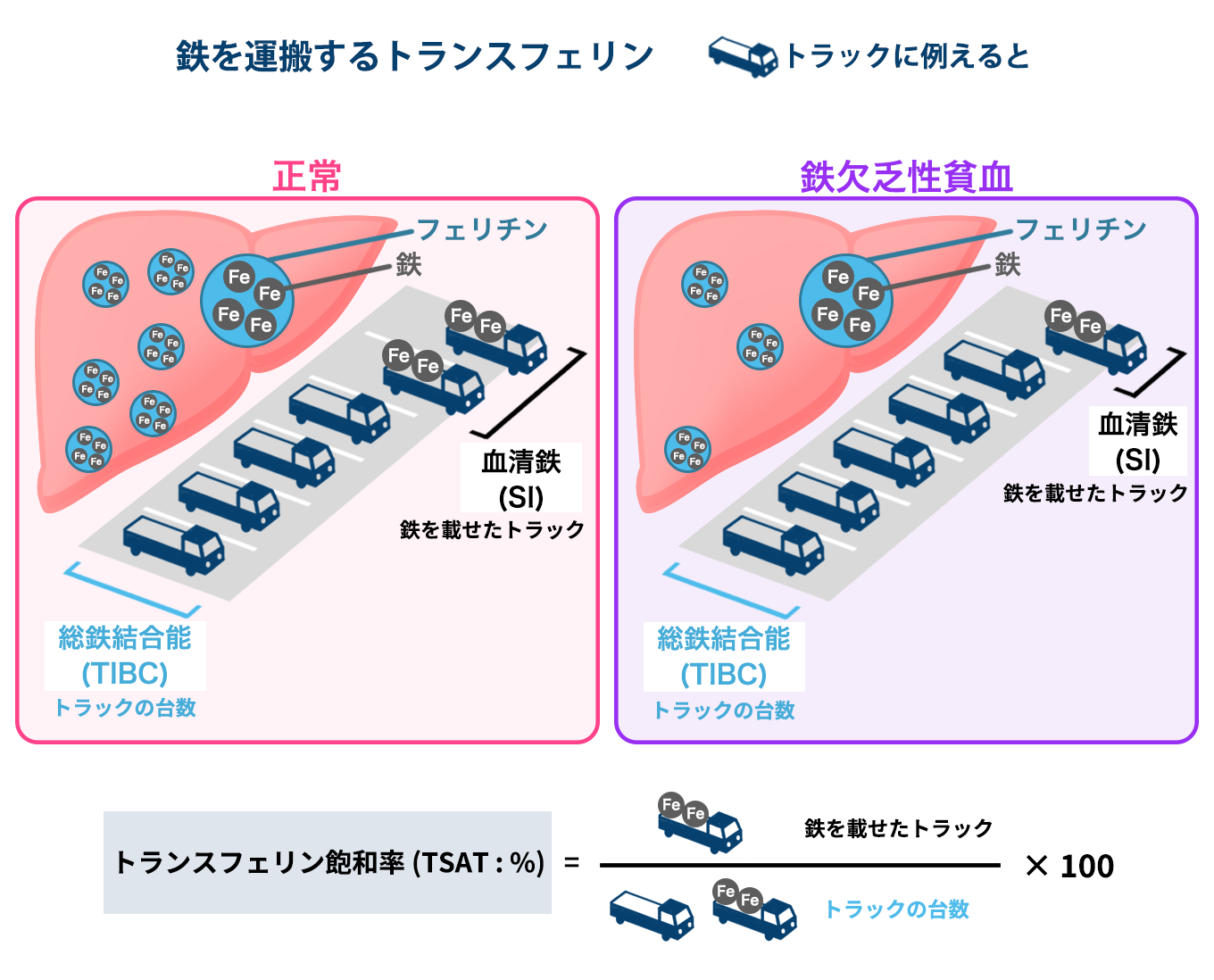 鉄欠乏症の早期診断の指標は何ですか？, 鉄欠乏性貧血 治療方法 – GZIBT