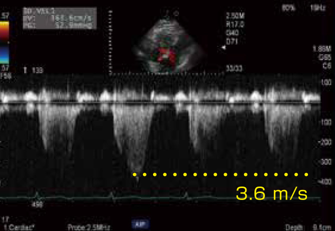 心エコー図検査を実施もしくはオーダーする医師・臨床検査技師の先生方