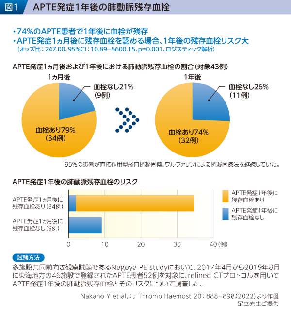 図1 APTE発症1年後の肺動脈残存血栓