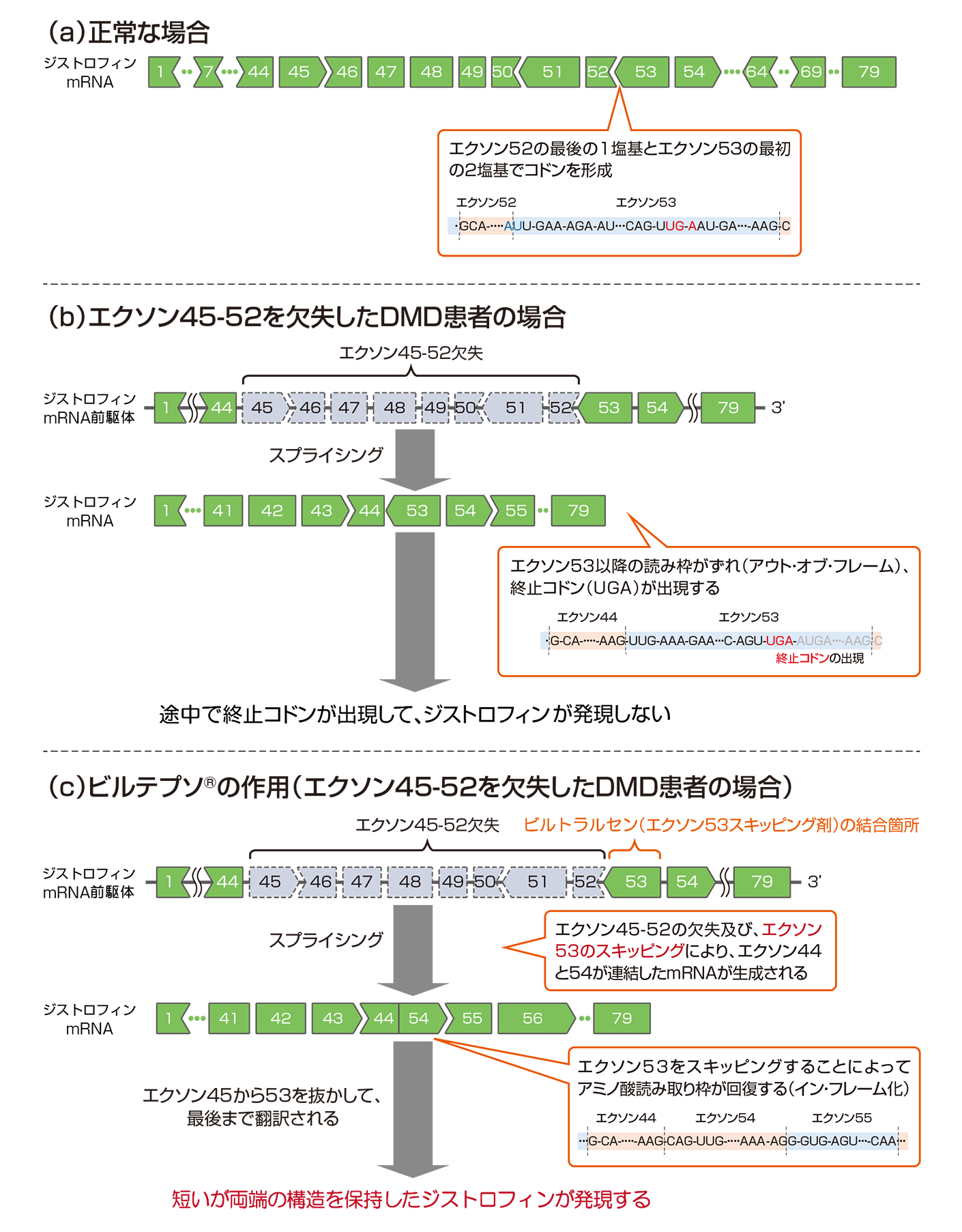 ジェイソン・ウィンターズ　ガンを殺せ！薬草で末期ガンを治した　ガン治療ハーブティ Amazon.co.jp: 奇跡のハーブティ-: キリング・キャンサー