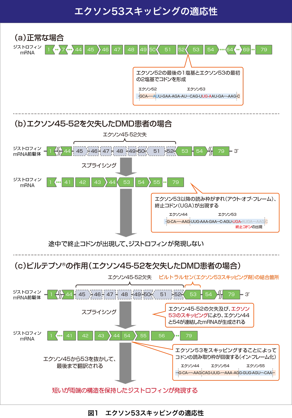 アレキサンダーディシプリン 非典型症例と難症例 アレキサンダーディシプリン 非典型症例と難症例