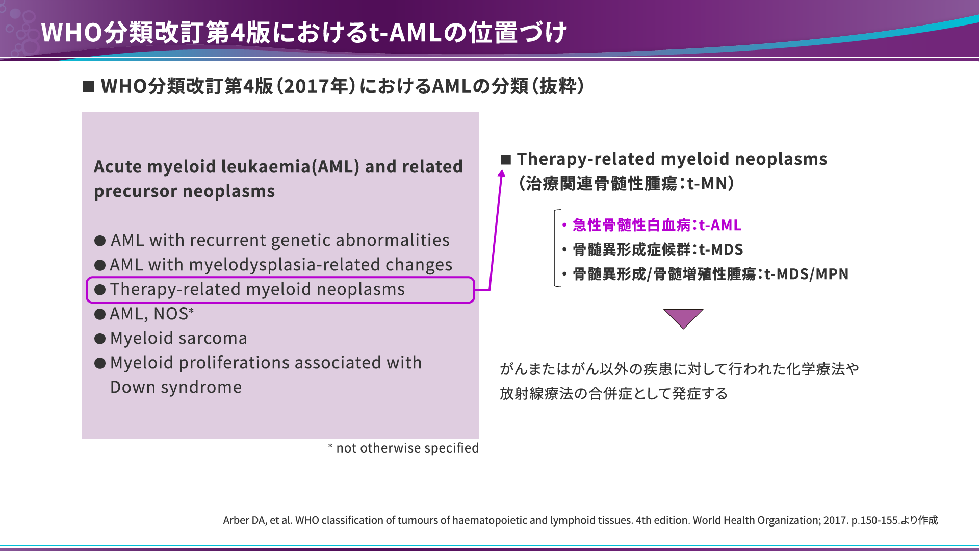 押さえておきたい- 高リスクAML t-AML｜ビキセオス®配合静注用｜製品