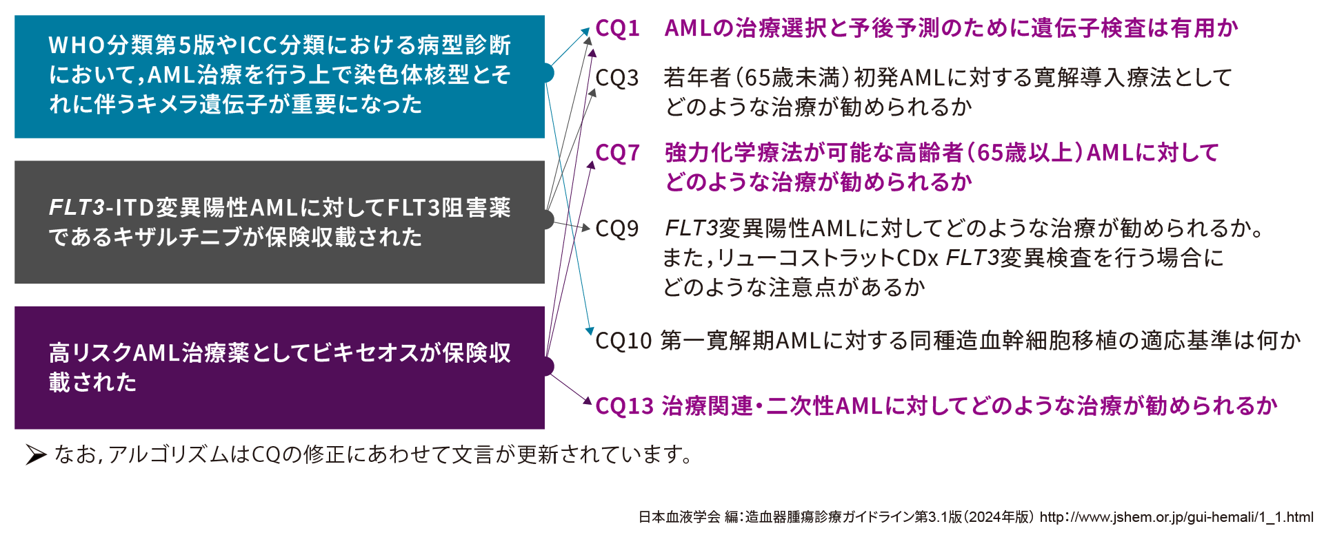 ここがポイント！造血器腫瘍診療ガイドライン第3.1版（2024年版