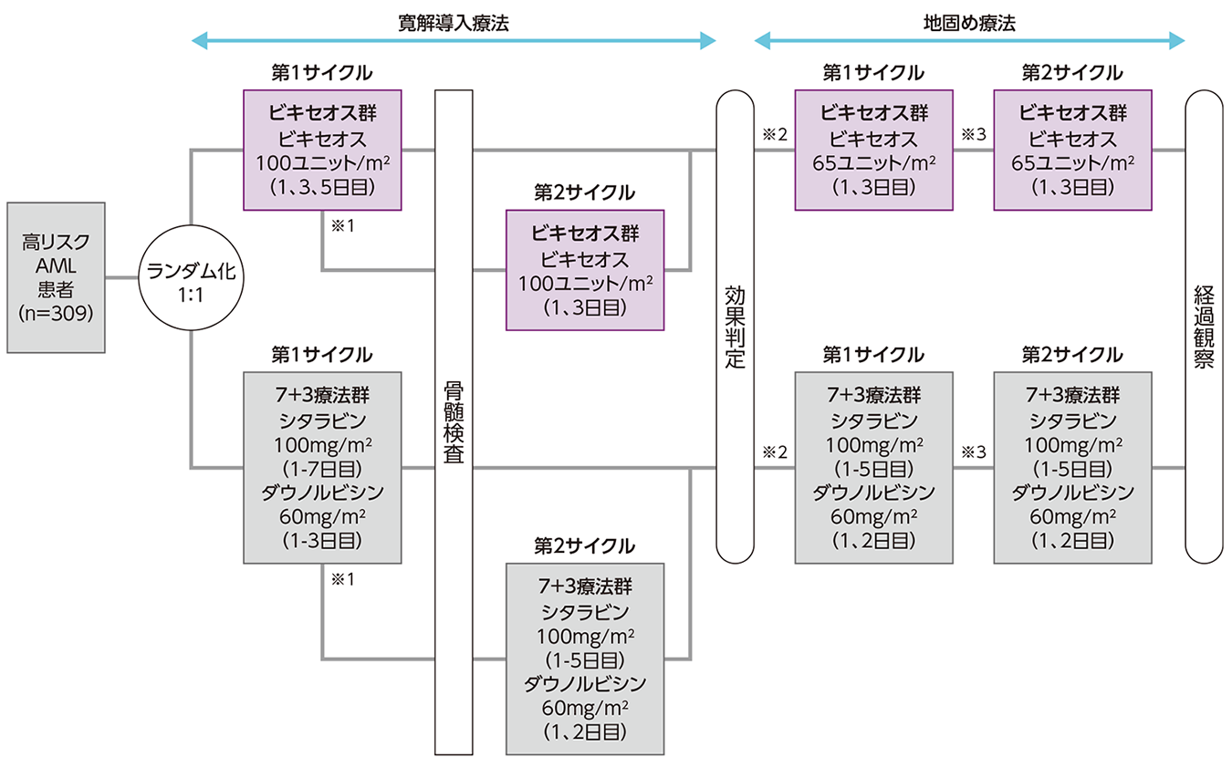 海外第Ⅲ相試験（CLTR0310-301試験）（海外データ）｜臨床成績｜製品 
