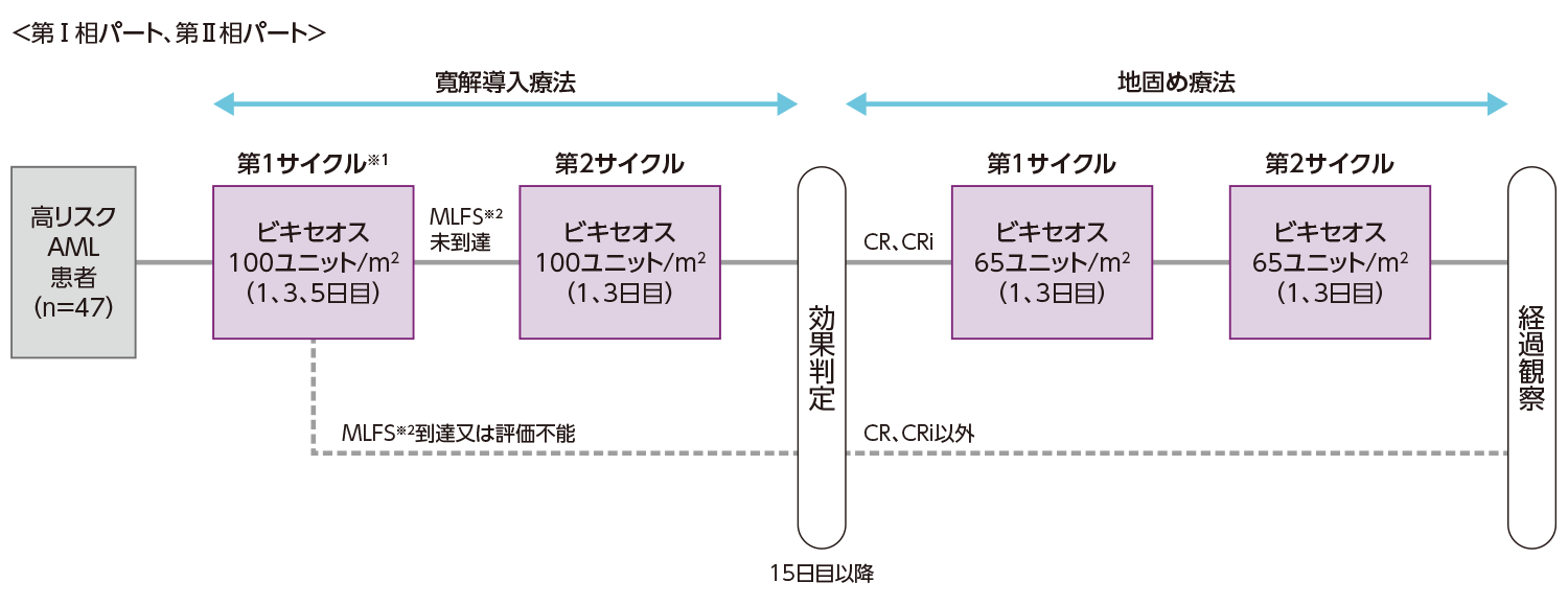 国内第Ⅰ/Ⅱ相試験（NS87-P1-2試験）｜臨床成績｜製品情報概要