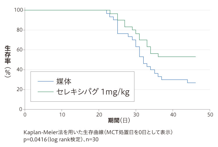 MCT誘発肺高血圧モデルラットにおける生存に対する影響