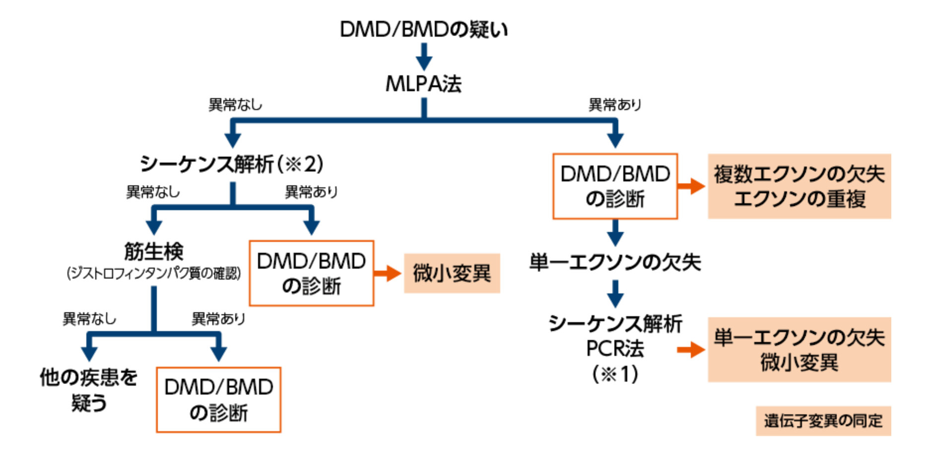 日本新薬